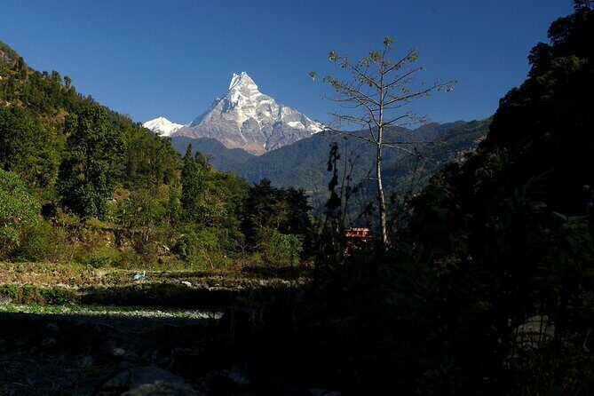 12-Day Nepal Adventure Trek with Jungle Safari - Possible Considerations