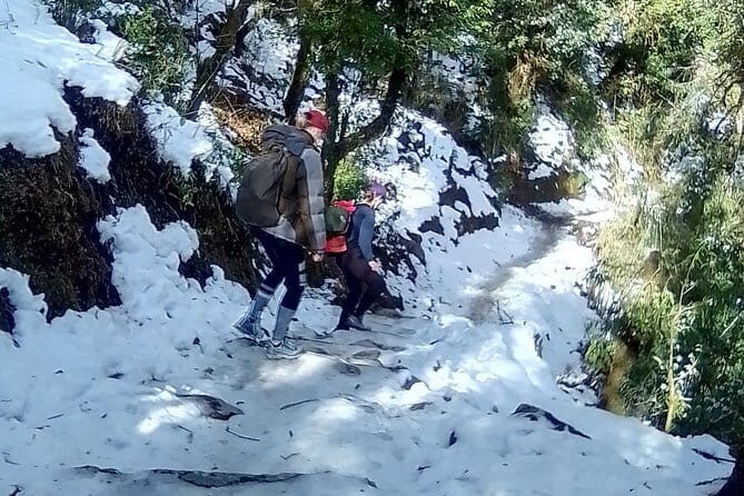 12 Days Everest Base Camp Trek from Kathmandu - Dingboche: A Village of Stunning Peaks