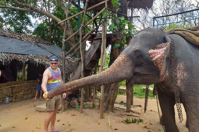 12 Days Sri Lanka Island Adventure and Wild Tour - Final Thoughts