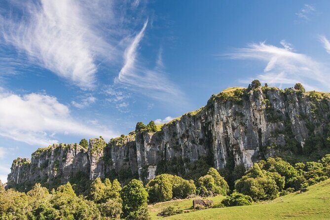 12-Hour LOTR Trollshaws & Waitomo Glowworm Tour - Experience the Magic: A 12-Hour Tour of LOTR’s Trollshaws & Waitomo Glowworm Caves