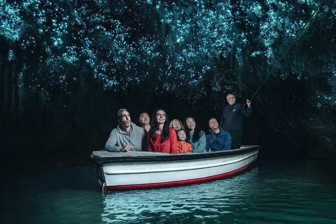 12-Hour LOTR Trollshaws & Waitomo Glowworm Tour - Key Points