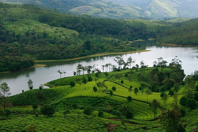 12 Hours Private Munnar Tour from Kochi - Frequently Asked Questions (FAQs)