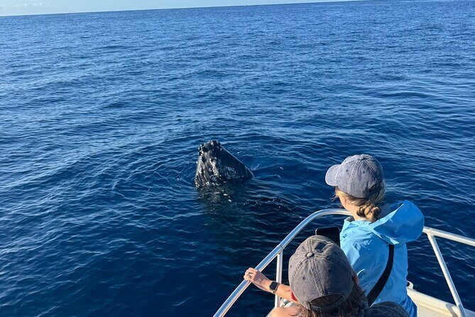 12 Passenger Kaanapali Beach Whale Watch tour. Onboard Whale Mic - Who Is This Tour Perfect For?