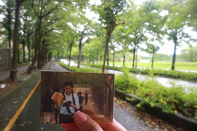 12hrs - Chiayi Meteor Garden Classic Tour From Taipei - In-Depth Review