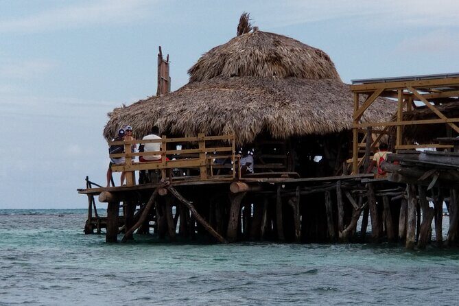 13. Appleton Rum Estate & Black River Safari Private Guided Combo all day tour - Key Points