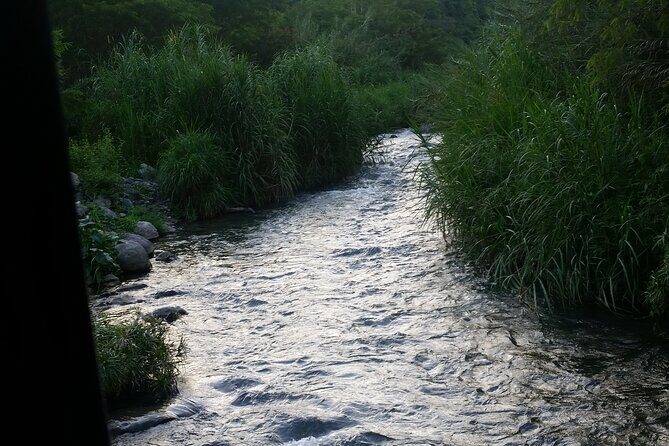 13. Appleton Rum Estate & Black River Safari Private Guided Combo all day tour - Final Thoughts