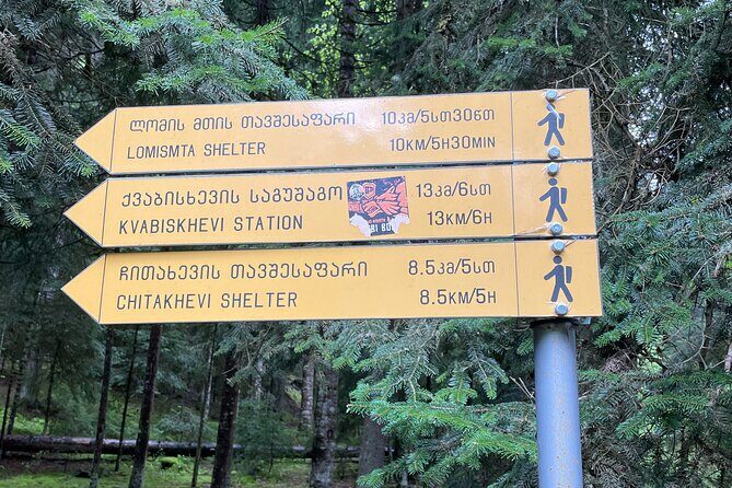 13 km hike in Borjomi - Group tour from Kutaisi - Who Should Consider This Tour?