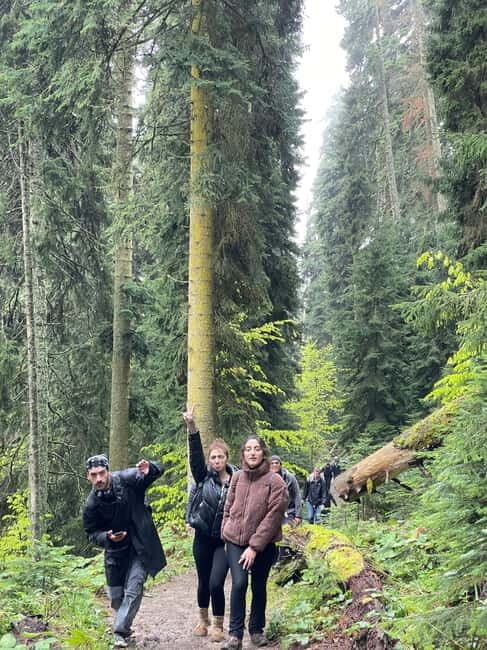 13 km hiking tour from Kutaisi to Borjomi - Key Points