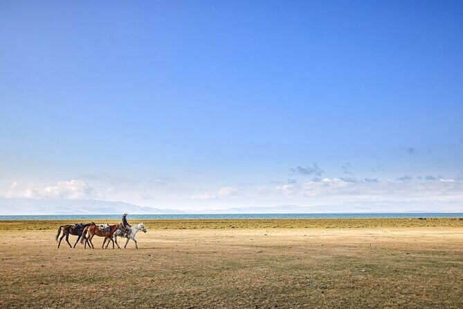 14 Day Epic Kyrgyzstan Trek in Tian Shan and Pamir Alay Mountains - A Deep Dive into the 14-Day Kyrgyzstan Trek