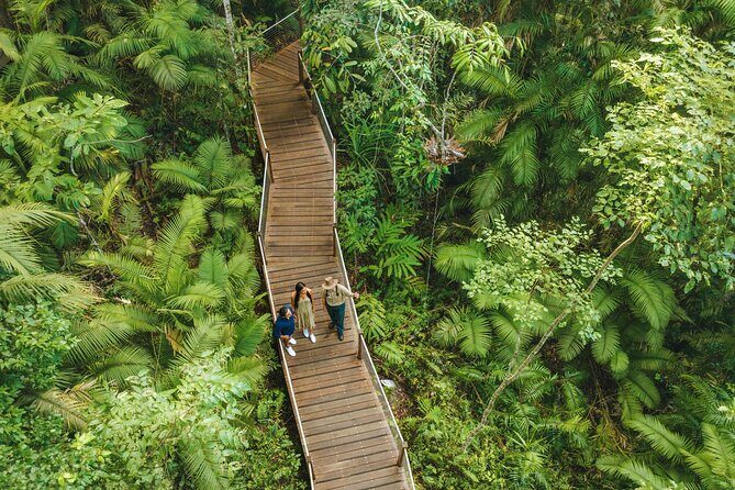 14 Day Tour from Sydney to Cairns Fraser Island and Whitsundays - Brisbane’s Laid-back Capital