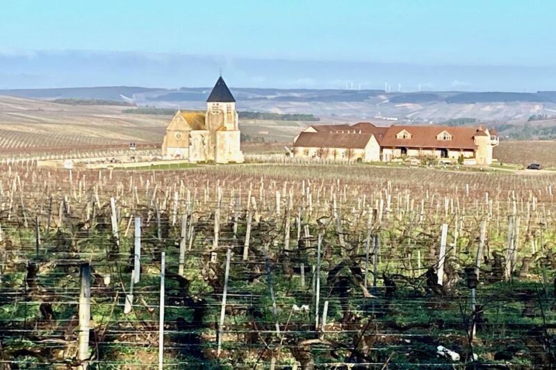 15 Burgundy Wines Chateau Pommard, Chablis Small-Group - Who Should Consider This Tour?