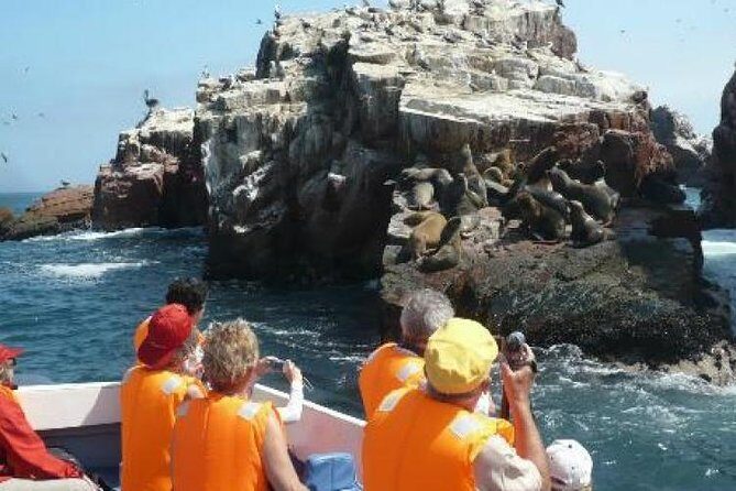 15-Day Peru Tour from Lima Including Paracas, Arequipa and Puno - The Value of Guided Group Travel