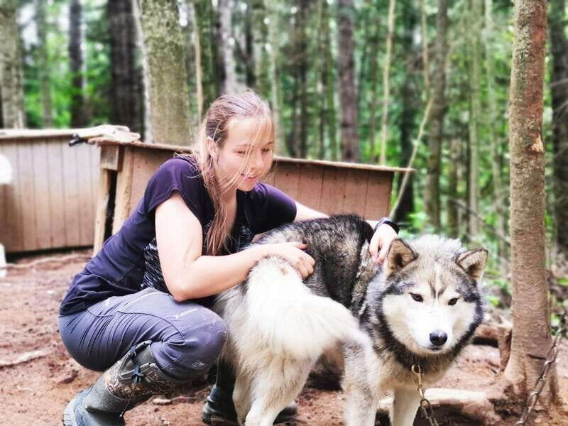 15 min. Tadoussac : Behind-the-Scenes Sled Dog Kennel Tour - Key Points