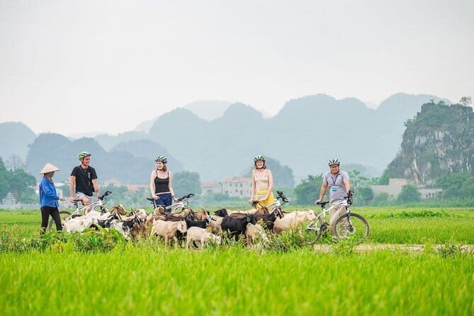 17-Day Vietnam Tour | Explore the Best Highlights of Vietnam - FAQs