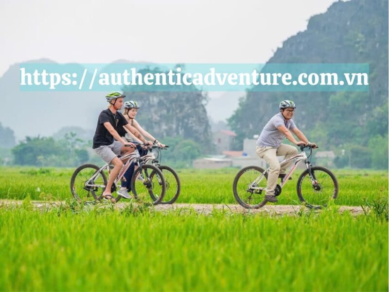 18-Day Vietnam Itinerary: Explore North to South Highlights - Heading South to Hue and Hoi An