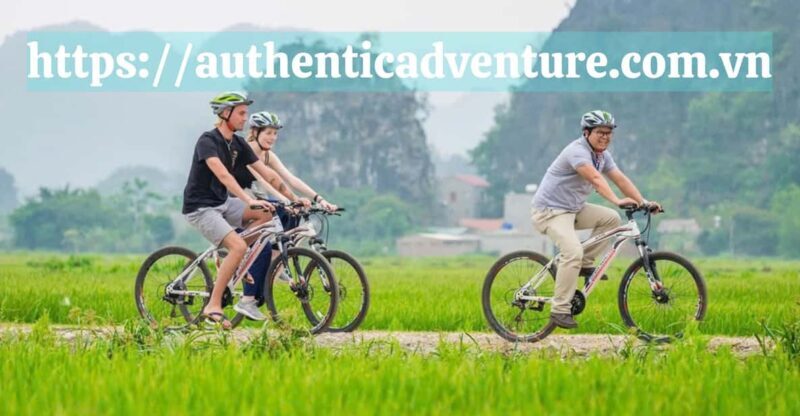 18-Day Vietnam Itinerary: Explore North to South Highlights - Breathtaking Scenic Spots: Ba Na Hills & Nha Trang