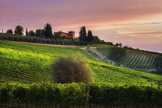 1h30m Wine Tasting and Visit to Val D'Orcia - FAQ