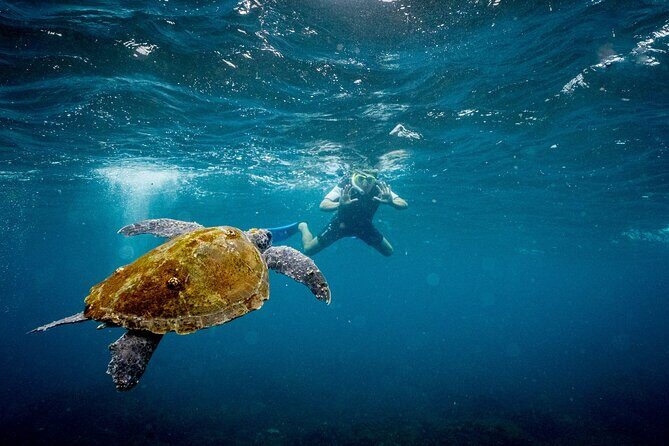 1hr Jet Ski Safari - Wildlife Spotting and Photography