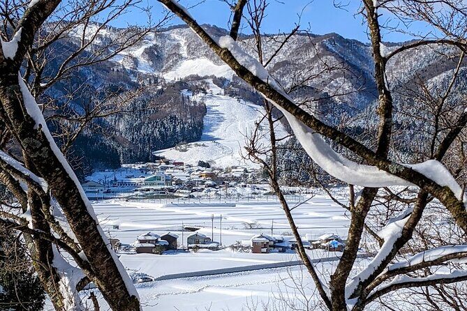 1Night and 2Days Trip to Kinosaki Onsen and Temple - Who Would Love This Tour?