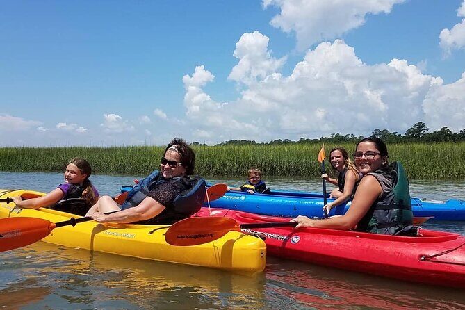 2 1/4 Hour Private Kayak Hilton Head Dolphin Nature Experience - Key Points