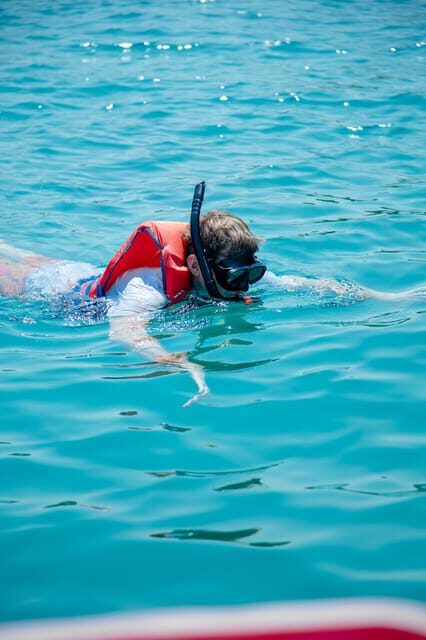 2-3 hours of Private Snorkeling Trip in South of Phu Quoc - Key Points