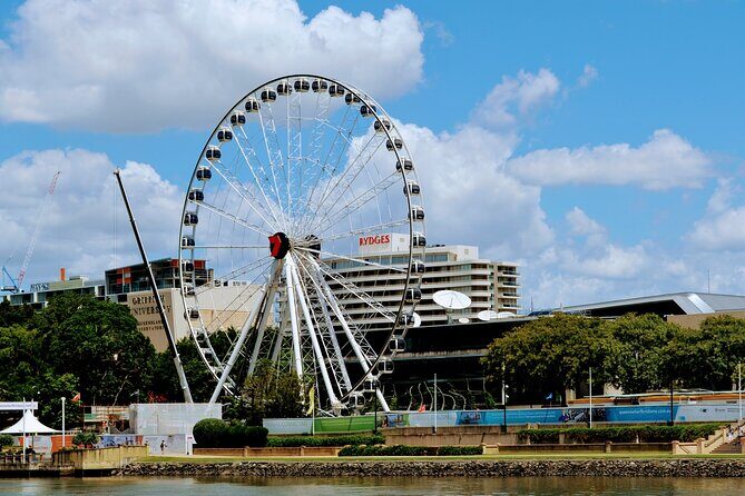 2.30pm Mid Afternoon Sightseeing Cruise - A Detailed Look at the Brisbane River Cruise Experience