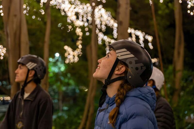 2.5 Hour Brisbane: Sightseeing Tours - Morning & Night - Key Points
