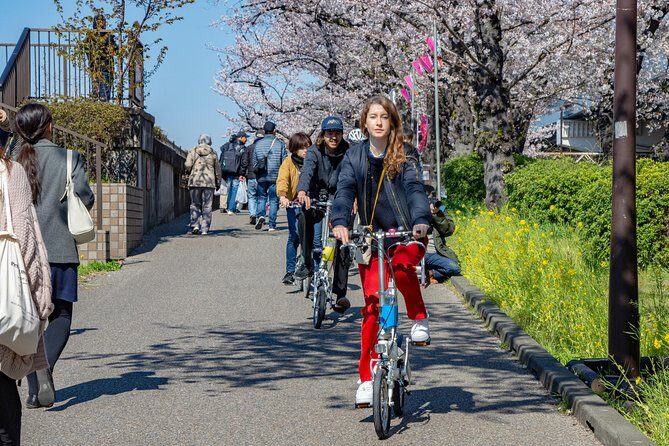 2.5 Hour-Guided Cycle Tour in the Central Tokyo - Breaking Down the Itinerary: Street by Street, Shrine by Shrine