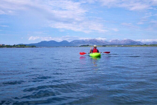 2.5 Hour Guided Sea Kayaking in Roundstone Bay - Why Choose This Tour? An In-Depth Look