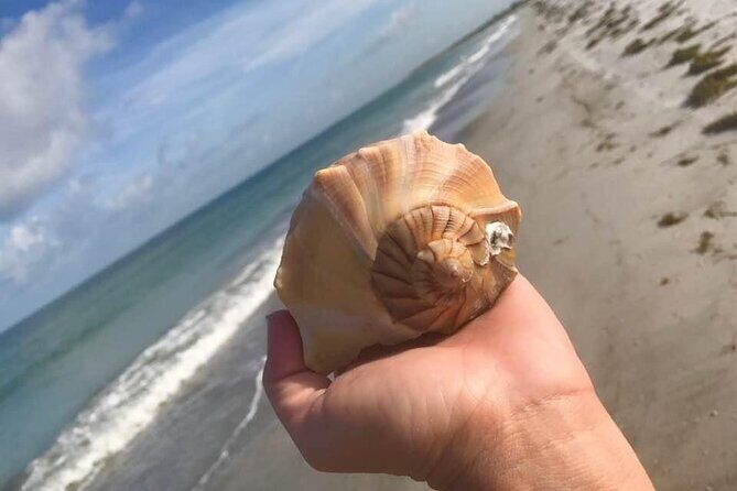 2.5 Hour Shell Key Island Adventure Including Dolphins And Shells - A Practical Guide to the 2.5-Hour Shell Key Island Adventure