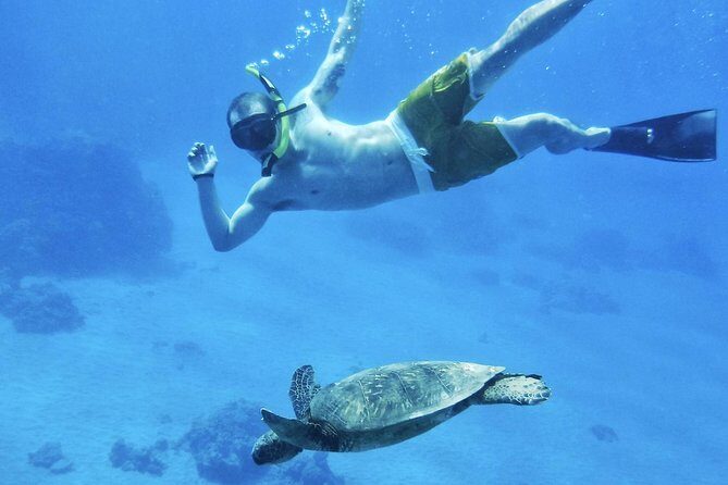 2.5 Hour Xpress Snorkel from Kaanapali Beach - Who Will Love This Tour?