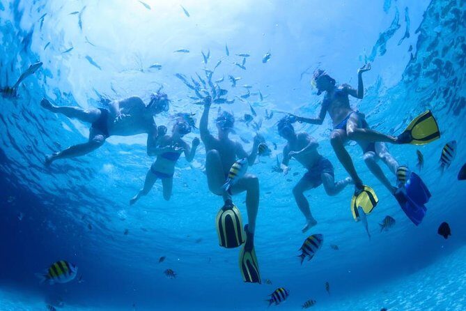 2.5 Hour Xpress Snorkel from Kaanapali Beach - FAQ