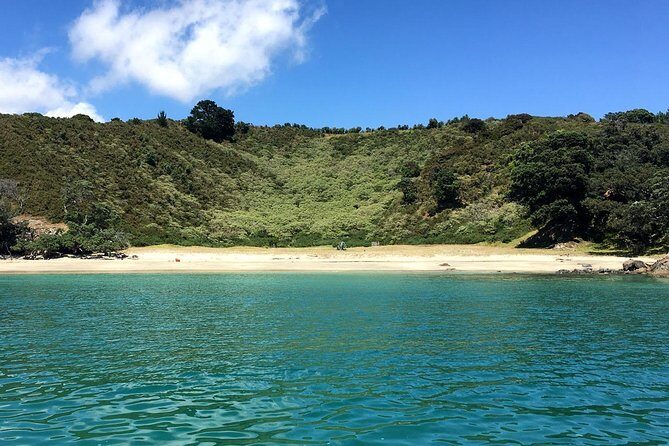 2.5 Hours Wine Tour in Waiheke Island for Cruise Ship Travelers - Who’s This Tour Best For?