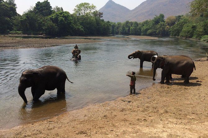 2 day 1 night Elephant World Kanchanaburi from Bangkok - Final Thoughts: Is It Worth It?