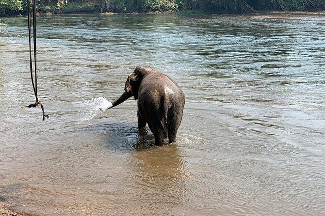 2 day 1 night Elephant World Kanchanaburi from Bangkok - Frequently Asked Questions