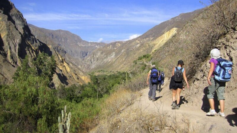 2 day 1 night trek / Colca Canyon - Who Should Consider This Tour?