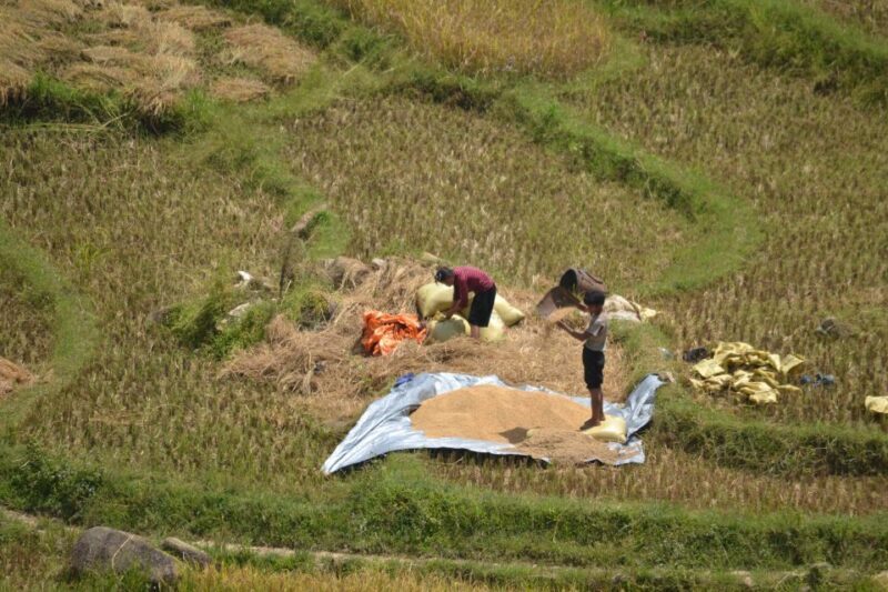 2 Day-2 Night Sapa Trekking: Overnight Train &Limousine Bus - FAQs