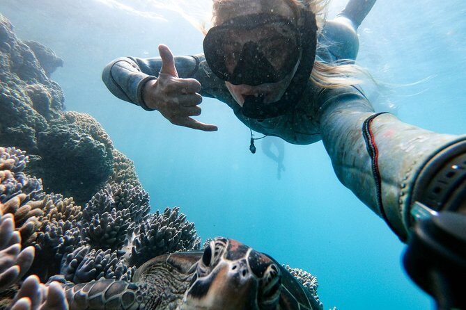2 Day & 2 Night Whitsunday Sailing Adventure on Hammer - Key Points