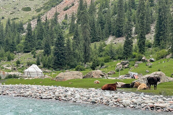 2-Day Adventure Yssyk Kul lake, Canyon, Yurt Stay and Eagle Show - Final Thoughts