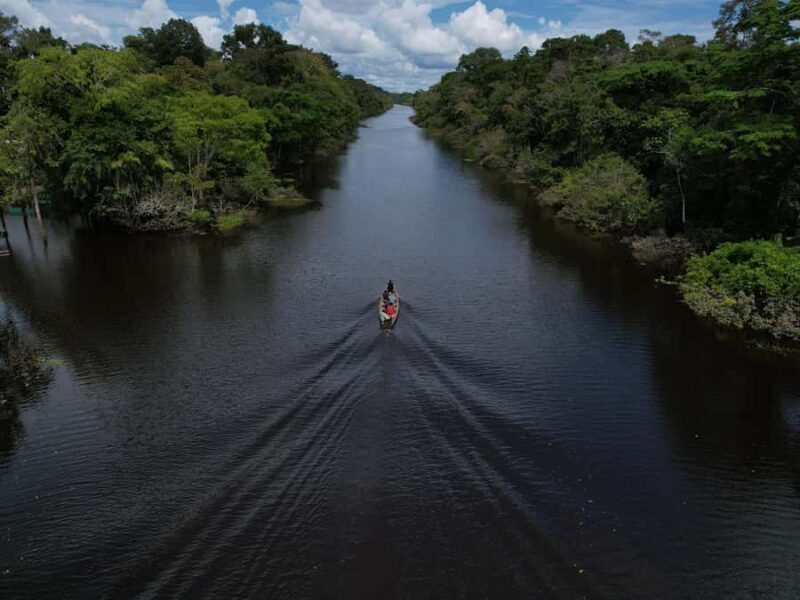 2-Day All Inclusive Guided Jungle Tour from Iquitos - Key Points