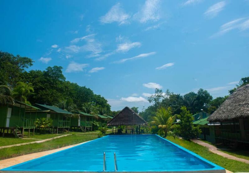 2-Day All Inclusive Guided Jungle Tour from Iquitos - What to Expect on This 2-Day Jungle Adventure