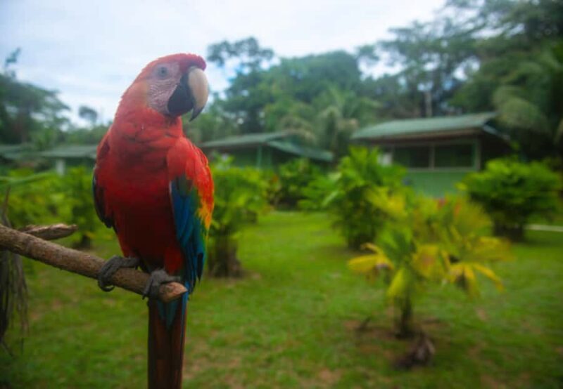 2-Day All Inclusive Guided Jungle Tour from Iquitos - Practical Tips for Travelers
