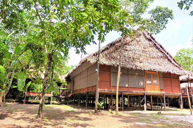 2-Day Amazon Jungle Tour at Avatar Amazon Lodge - FAQ