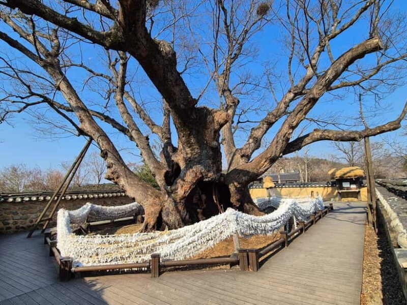 2-Day Andong and Gyeongju UNESCO Tour from Andong - FAQs