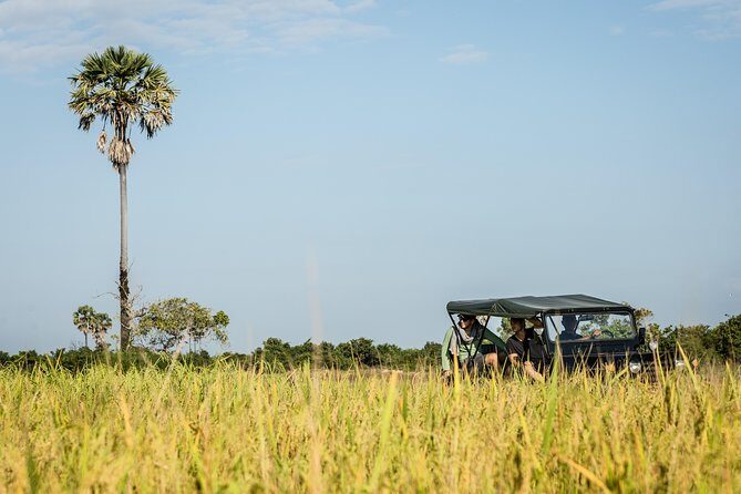 2-Day : Angkor Sunrise, Kompong Phluk Sunset & Banteay Srei Tour - The Value of This Tour: More Than Just a Price Tag