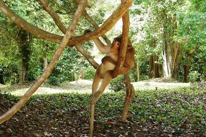 2-Day Angkor Wat Tour from Bangkok - Authenticity and Cultural Insights