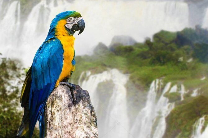 2 Day Argentinian and Brazilian Iguazu Falls - An In-Depth Look at the 2-Day Iguazu Falls Tour