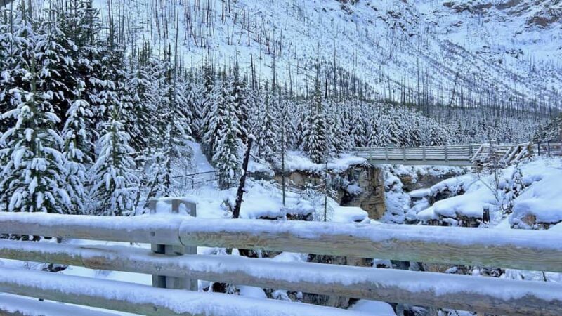 2-Day Banff, Lake Louise & Icefield Parkway Tour - Why You’ll Love This Tour