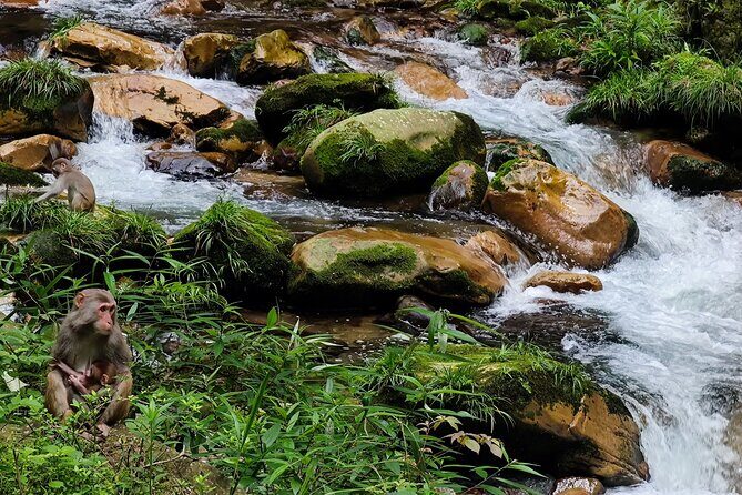 2-Day Best Of Zhangjiajie-Avatar World & Tianmen Mountain Tour - Exploring Zhangjiajie: A Treasure Trove of Natural Wonders