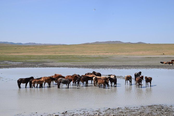 2 day Central Mongolia - A Deep Dive Into the 2-Day Mongolia Tour